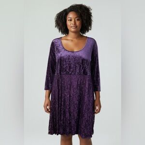 Vintage 90’s Crushed Velvet Lace Whimsigoth Witch Fairy Dress 18w